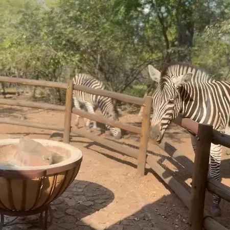 Sounds Of Kruger Safari Villa Marloth Park Exterior photo