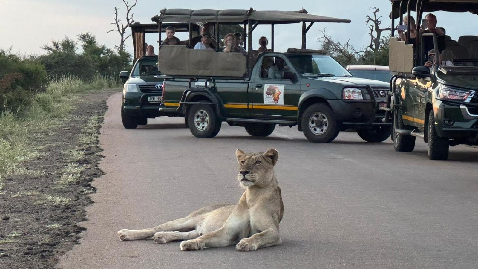 Sounds Of Kruger Safari Villa Marloth Park